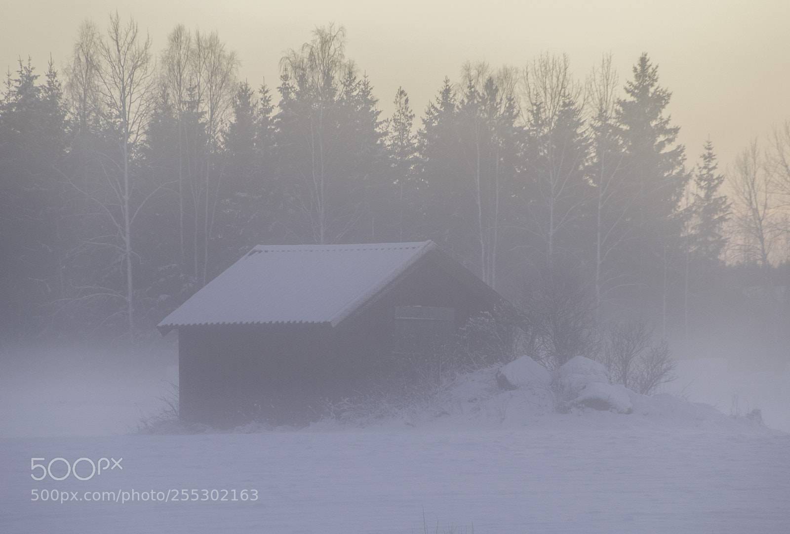 Nikon D5300 sample photo. Winter photography