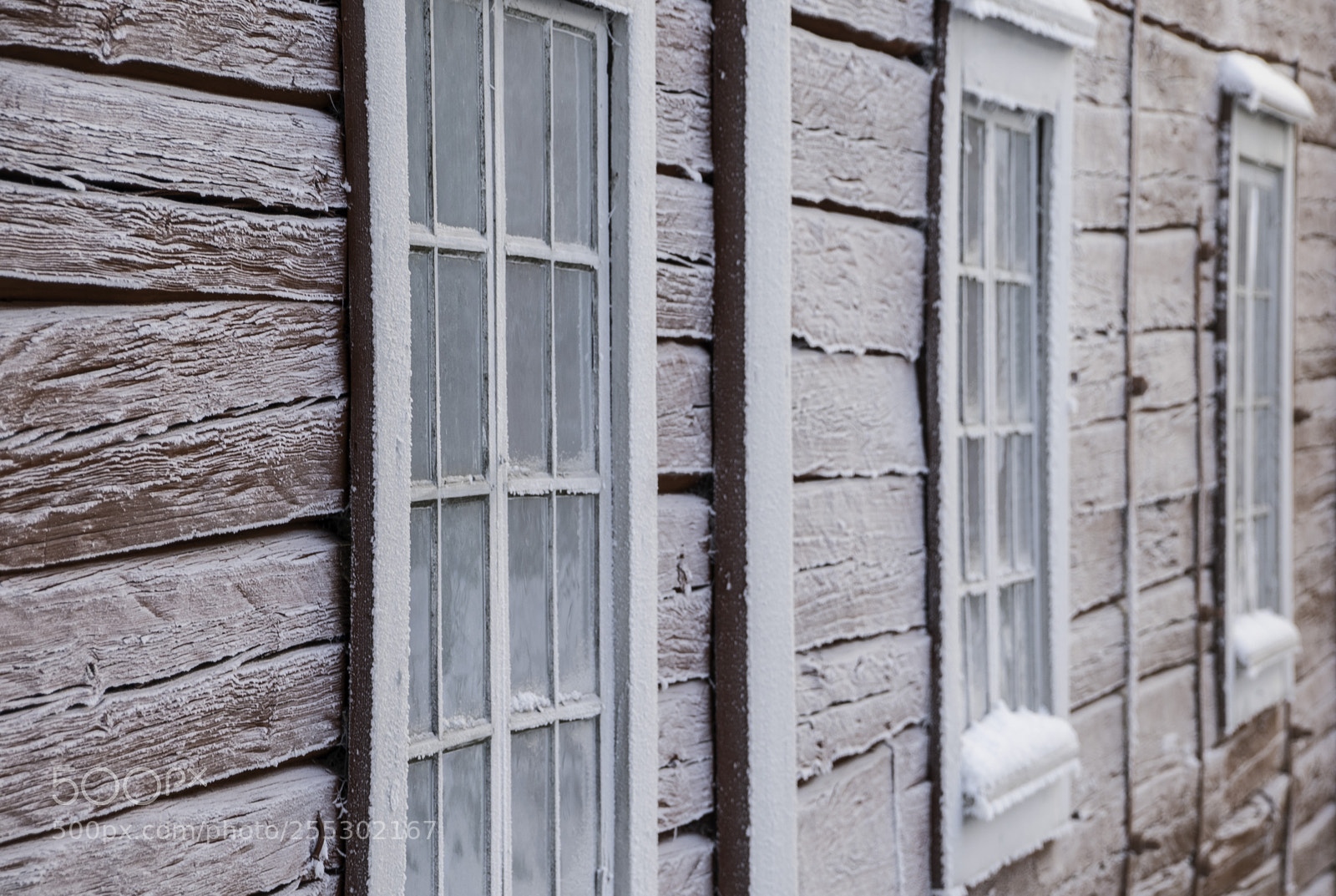 Nikon D5300 sample photo. Winter photography