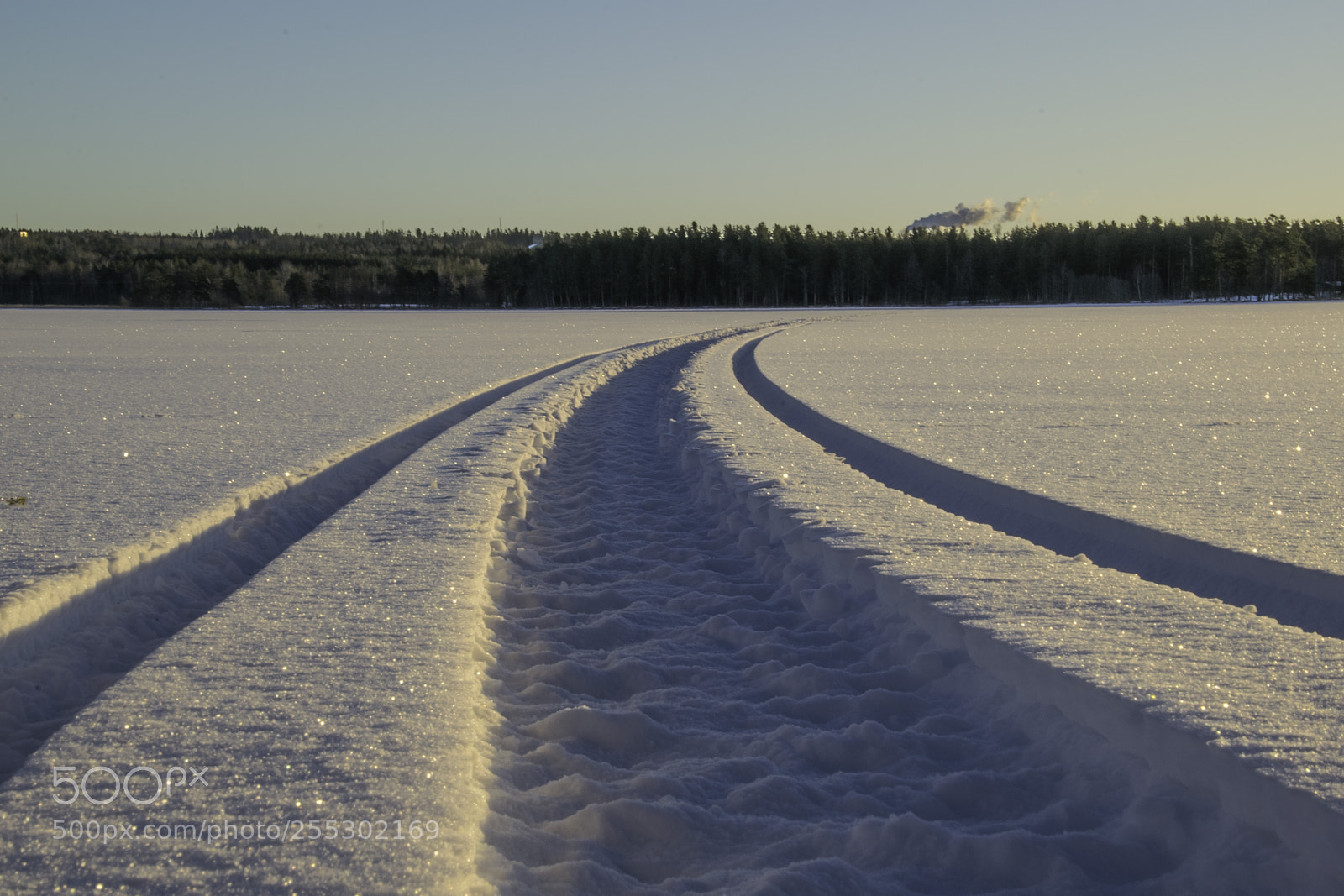 Nikon D5300 sample photo. Winter photography