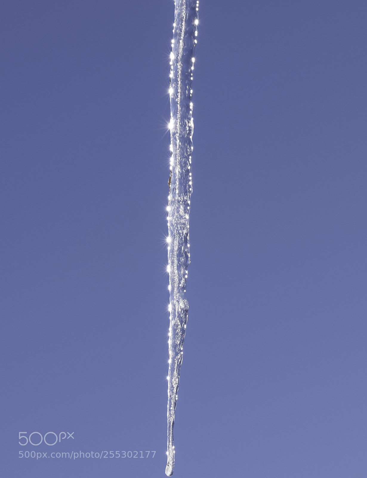 Nikon D5300 sample photo. Winter photography