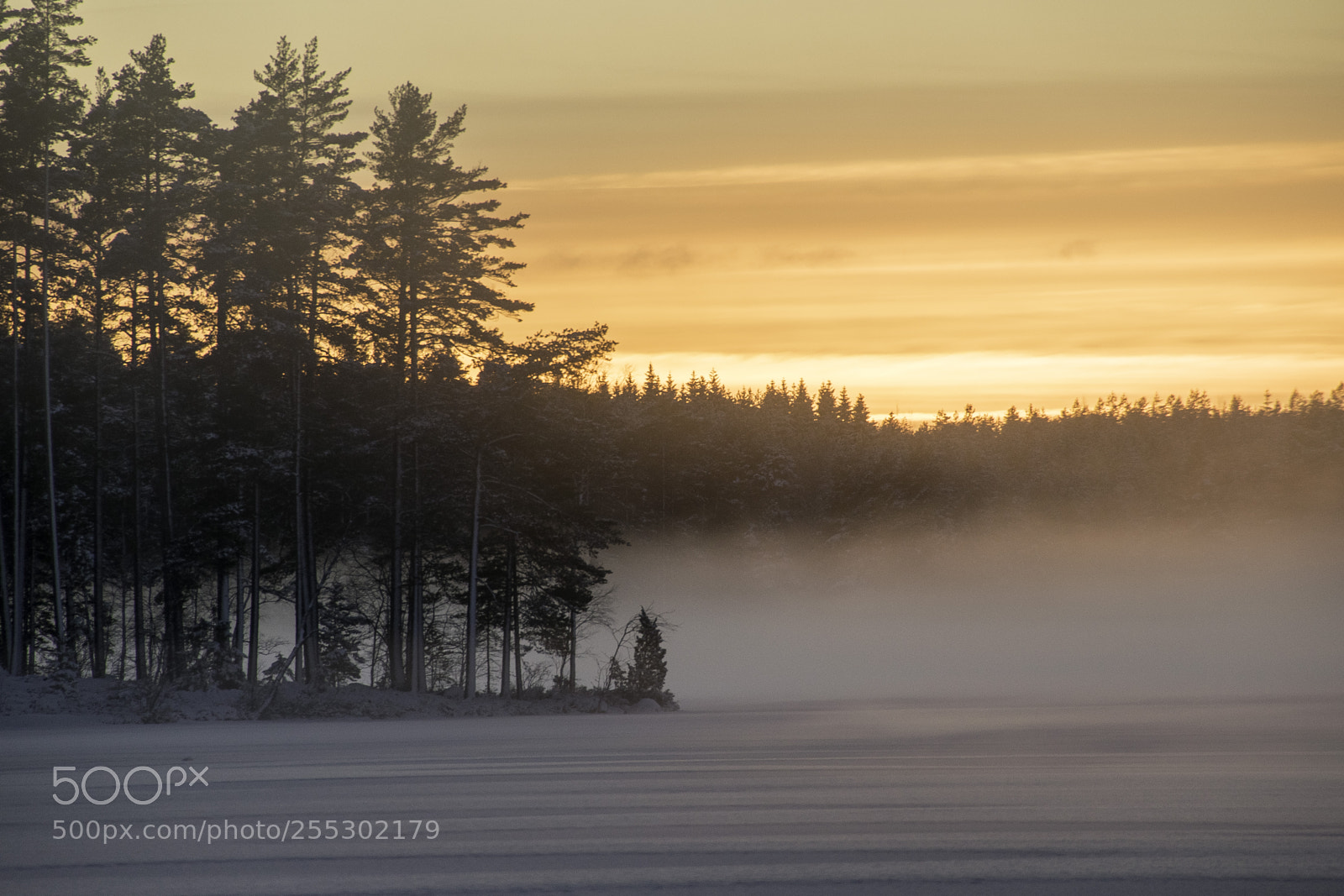 Nikon D5300 sample photo. Winter photography