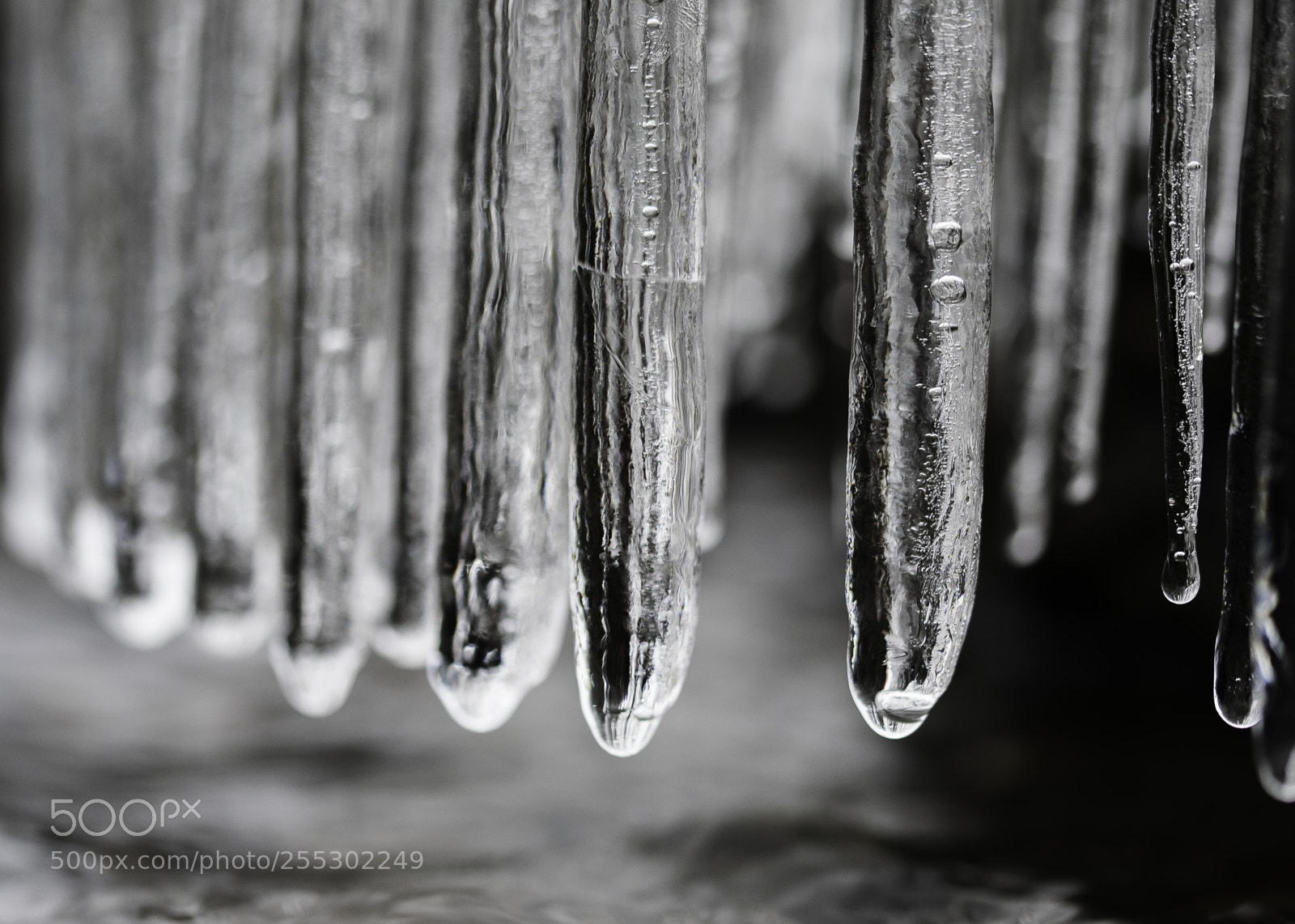 Nikon D5300 sample photo. Winter photography