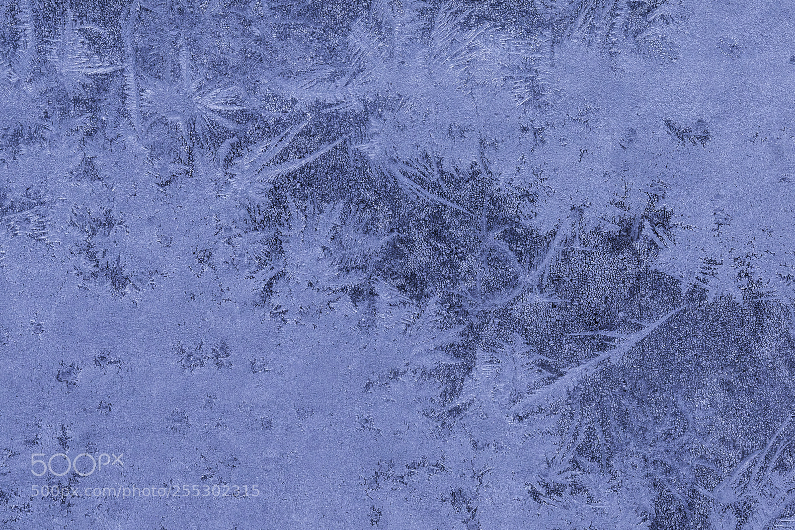 Nikon D5300 sample photo. Winter photography