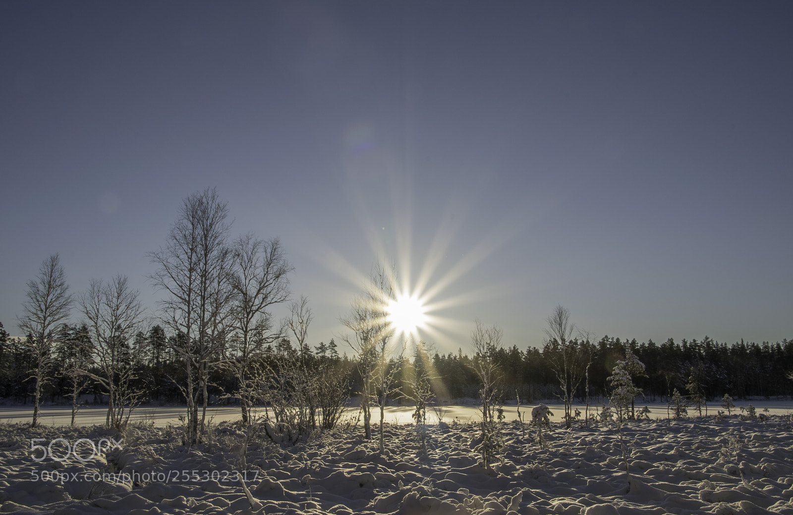 Nikon D5300 sample photo. Winter photography