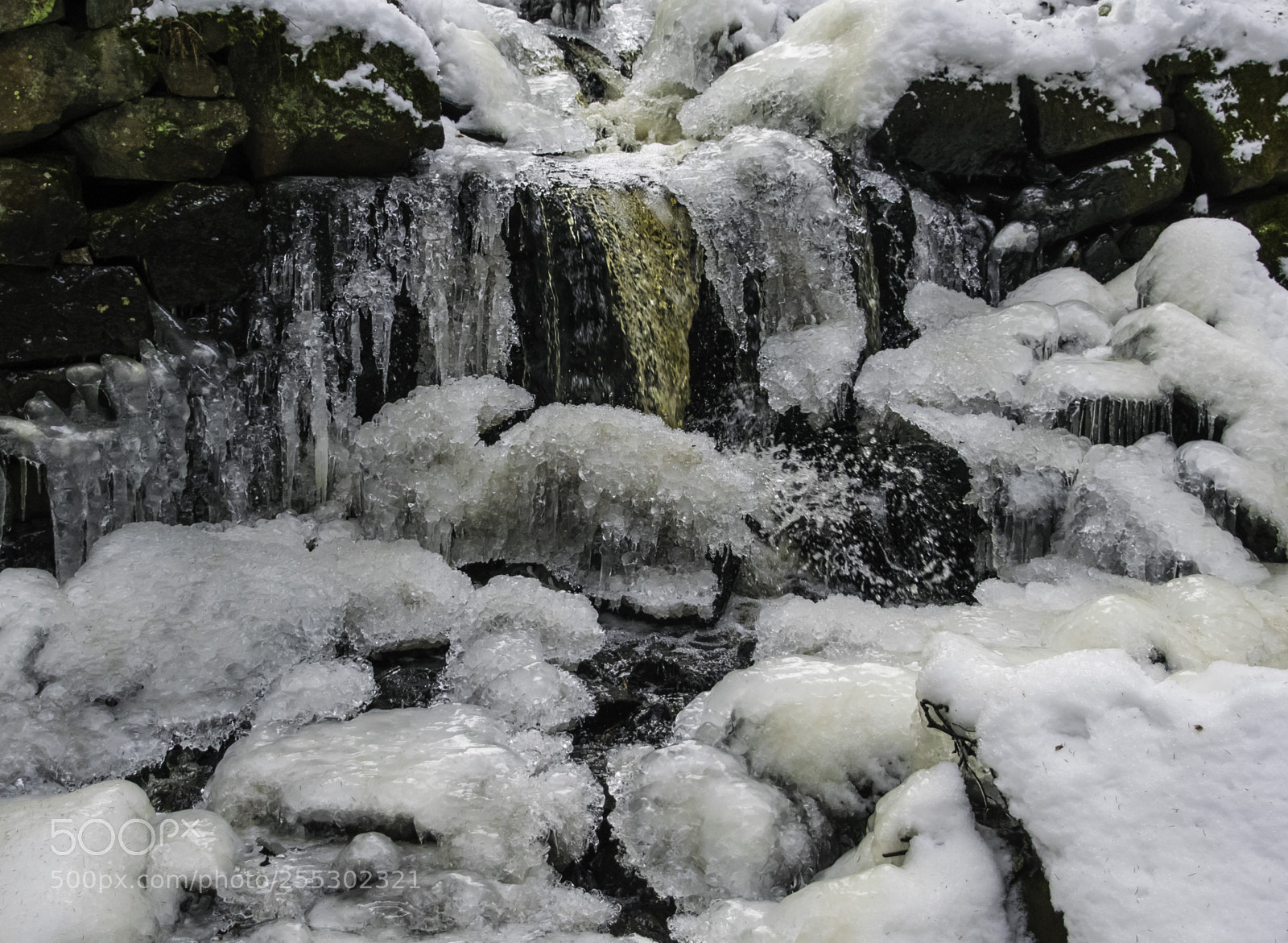 Nikon D5300 sample photo. Winter photography