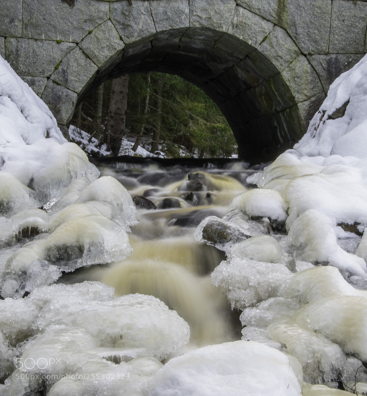 Nikon D5300 sample photo. Winter photography