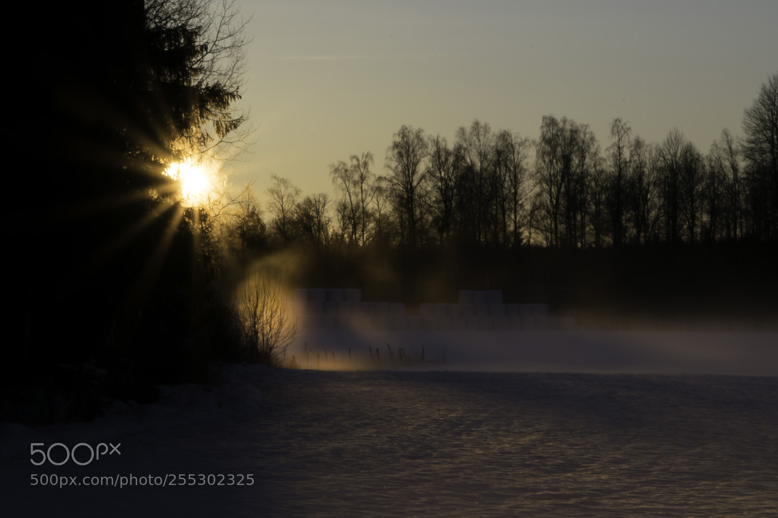 Nikon D5300 sample photo. Winter photography