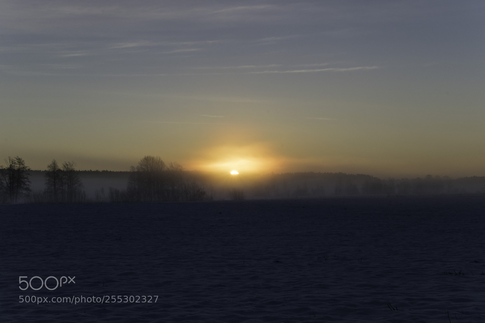 Nikon D5300 sample photo. Winter photography