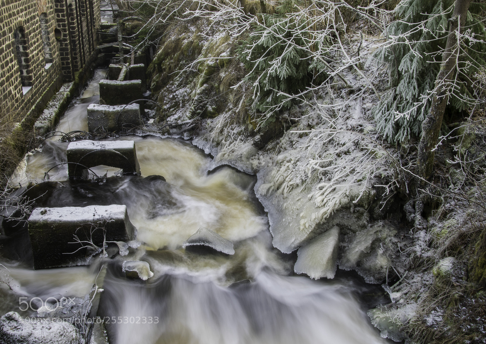 Nikon D5300 sample photo. Winter photography