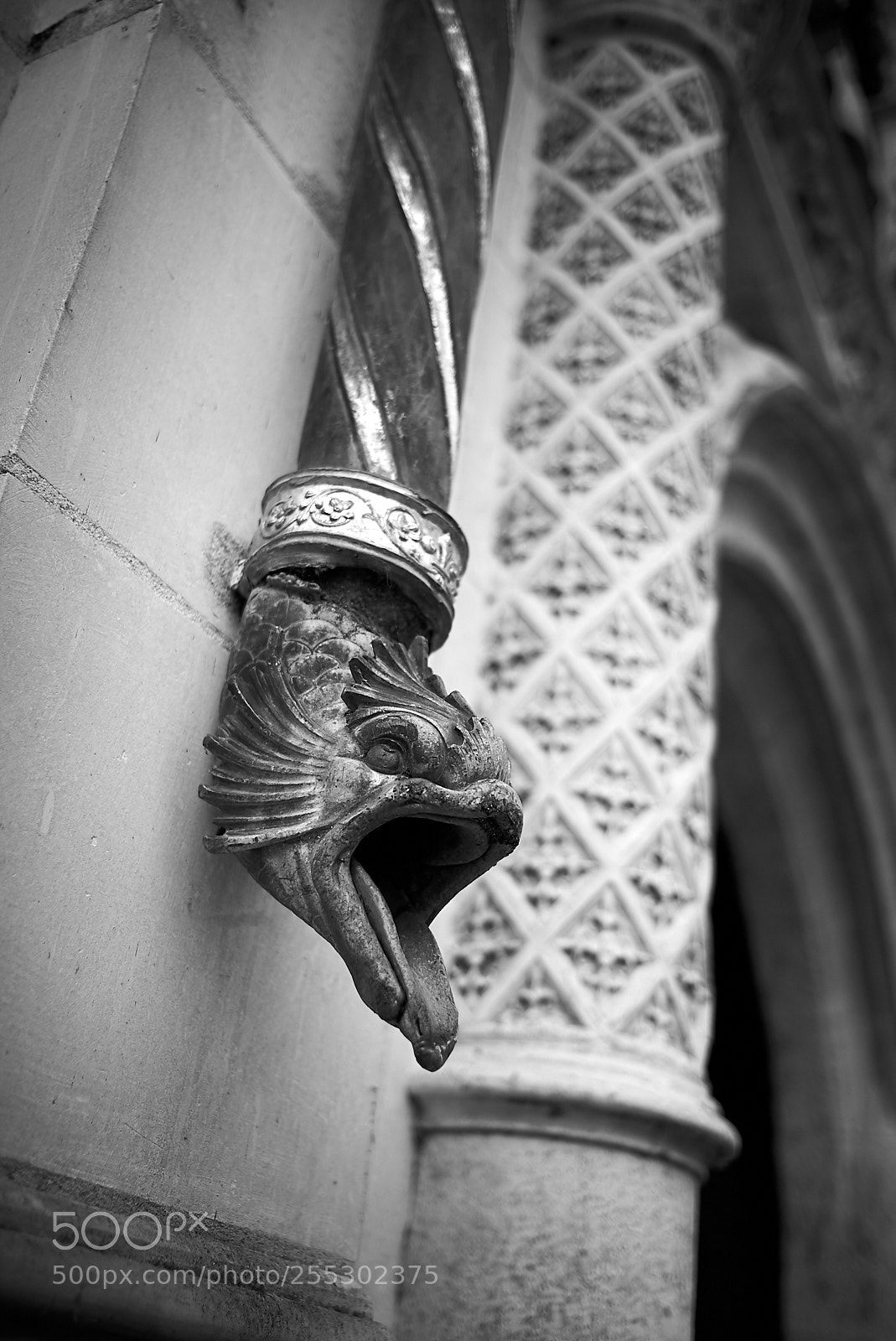 Leica M (Typ 240) sample photo. The gargoyle photography