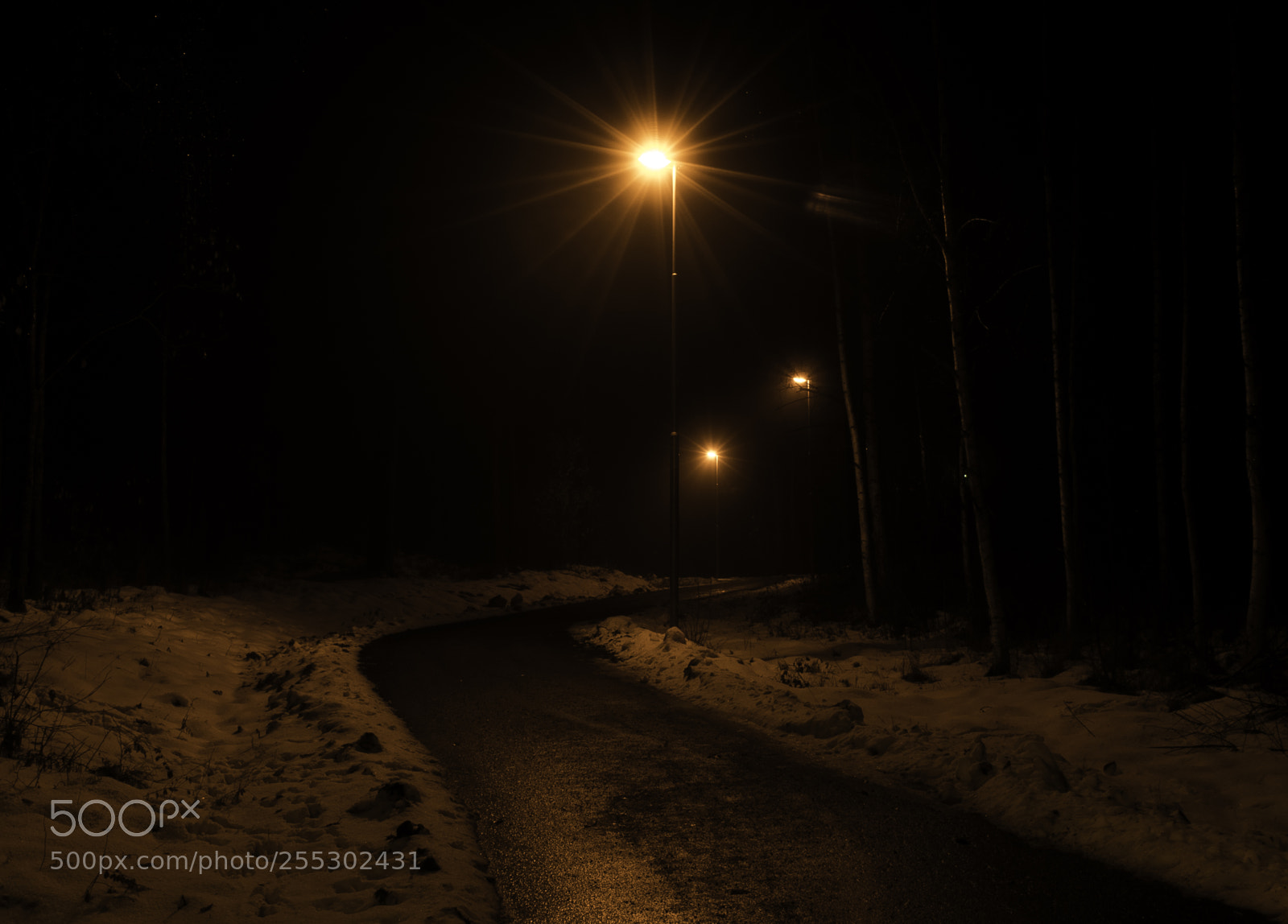 Nikon D5300 sample photo. Winter photography