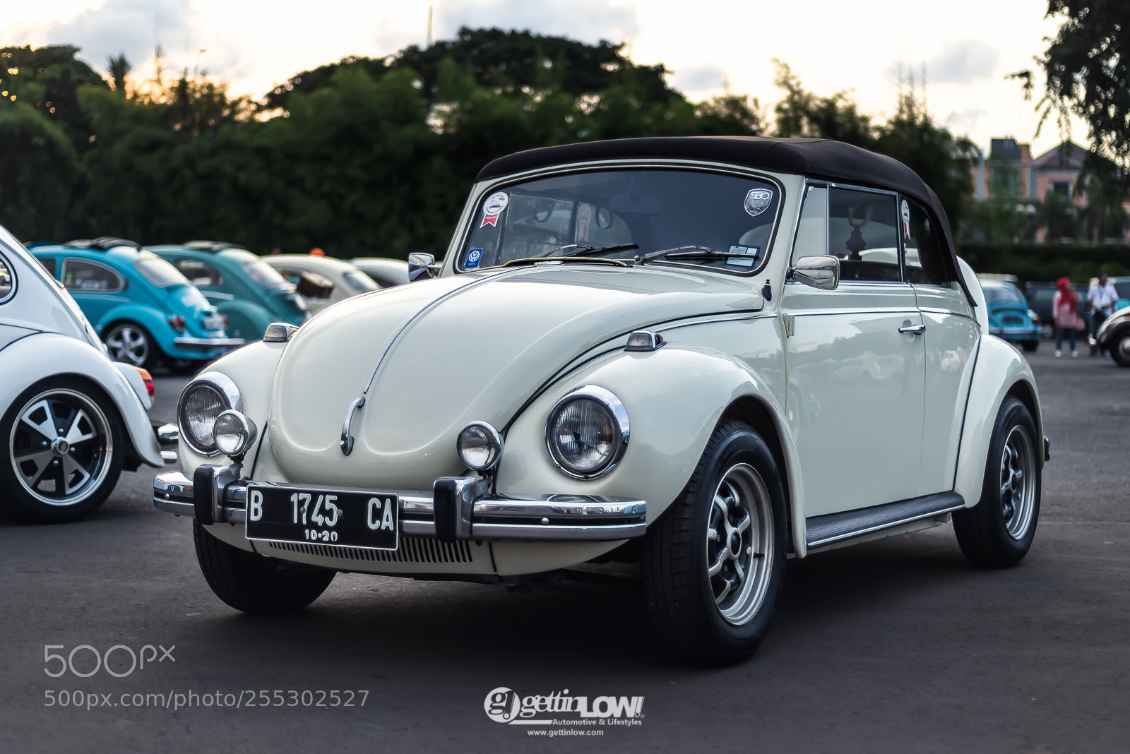 Nikon D600 sample photo. Volkswagen beetle photography