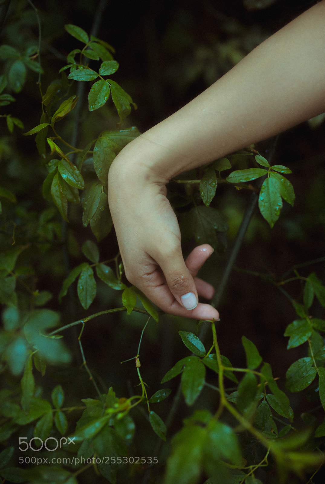 Canon EOS 6D sample photo. Mila photography