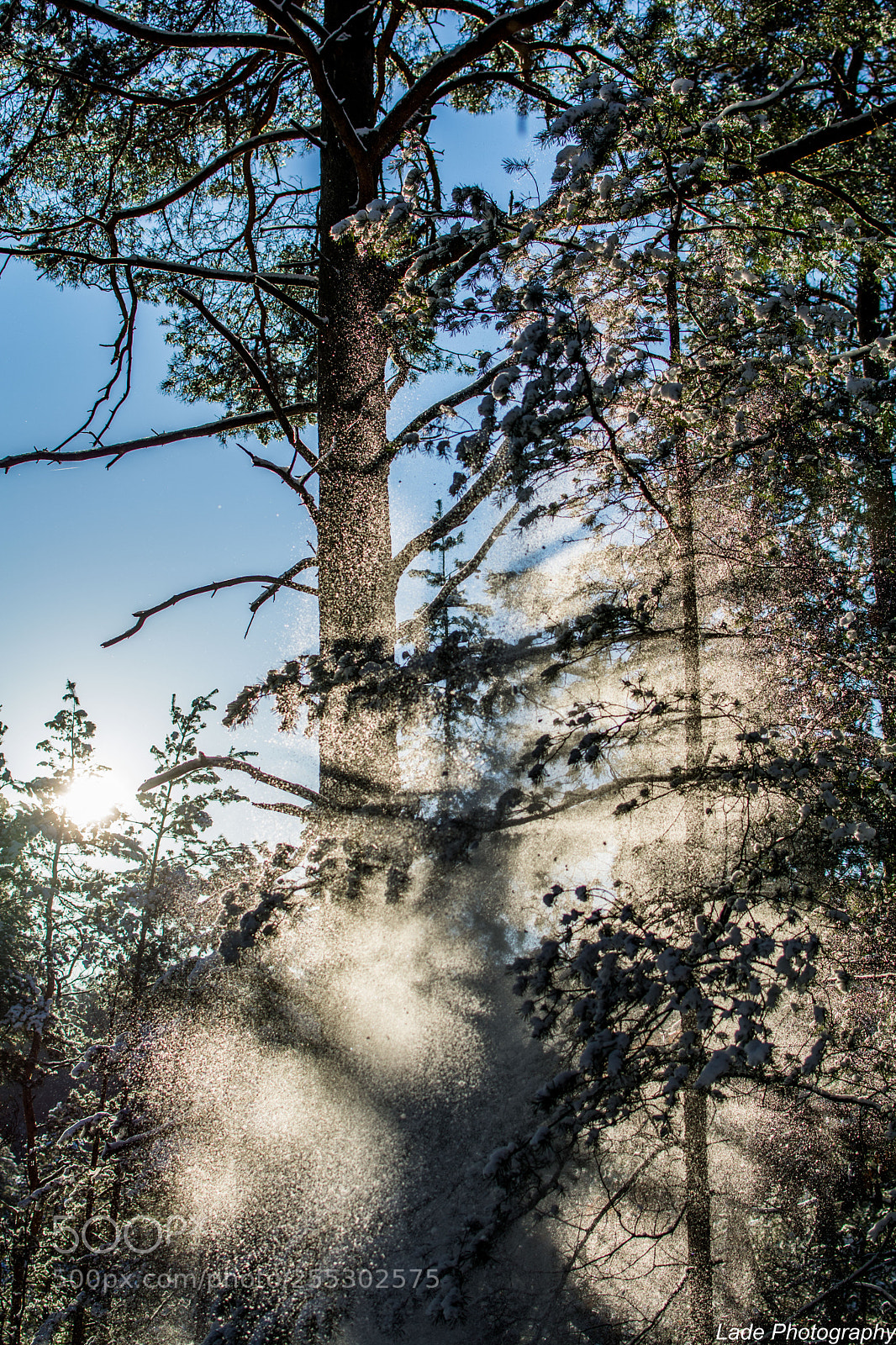 Nikon D7100 sample photo. Winter vibes photography