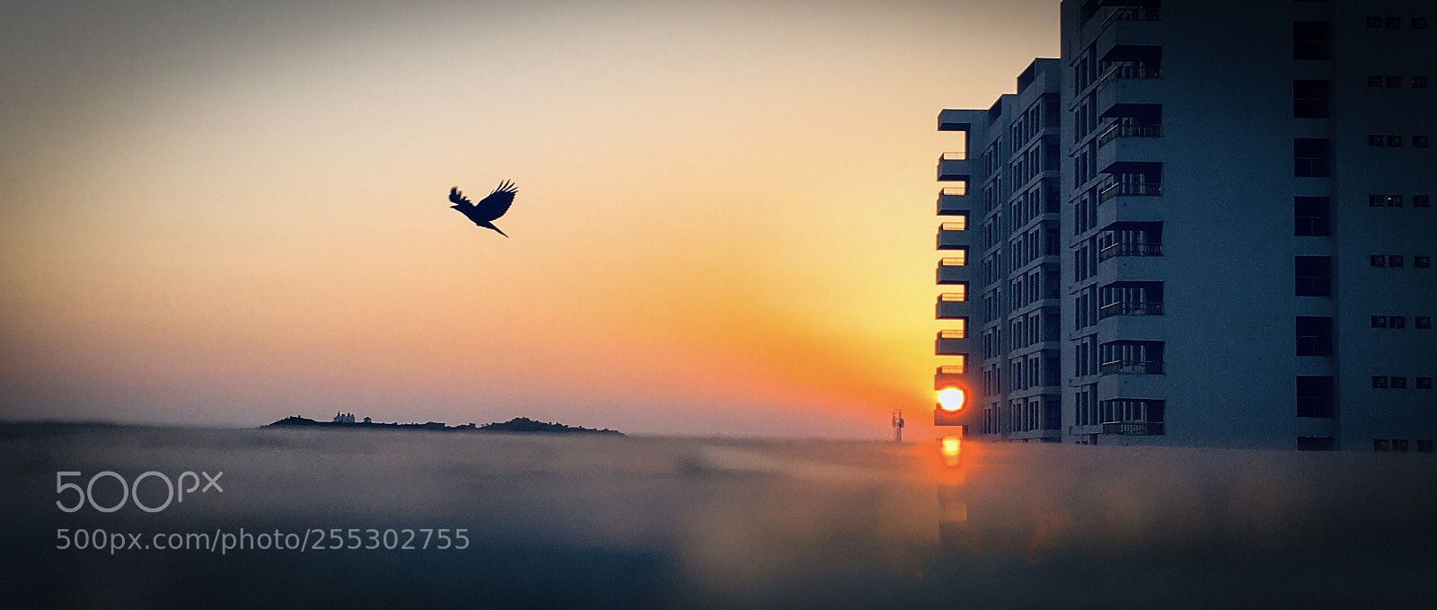 Apple iPhone 6s Plus sample photo. Sunset  photography