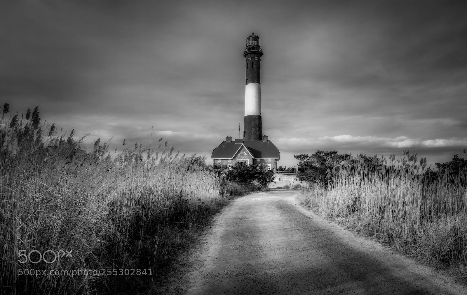 Nikon D850 sample photo. Path to the lighthouse photography