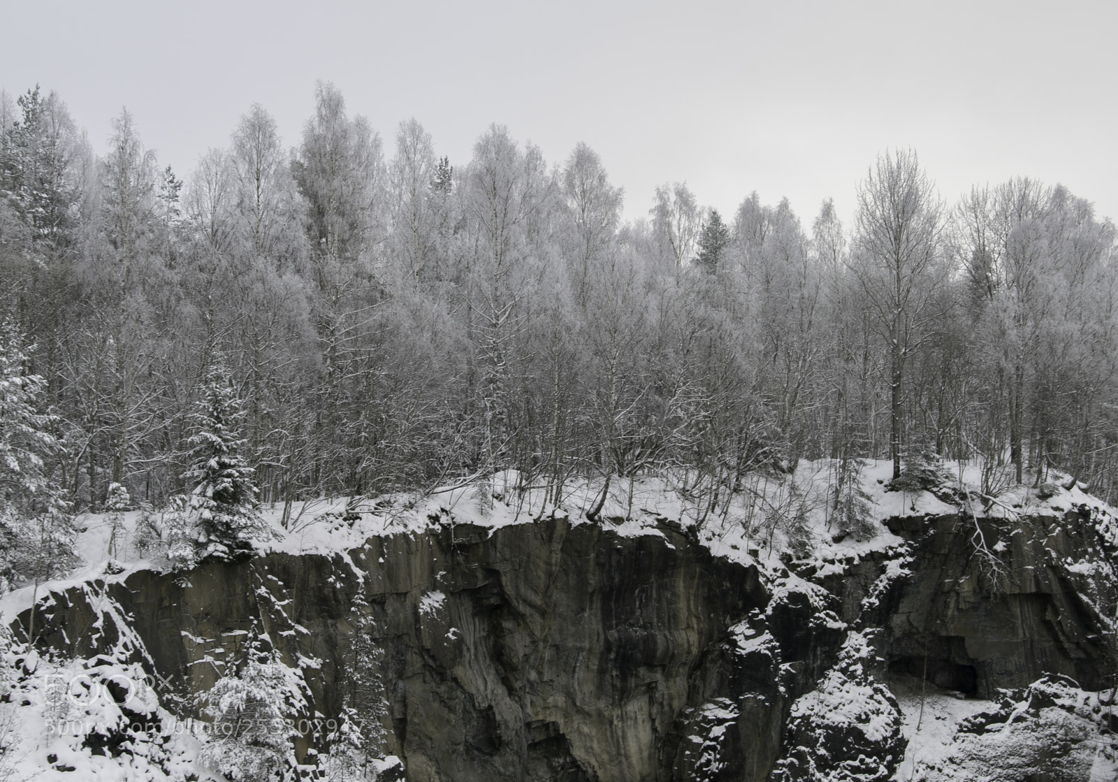 Nikon D5300 sample photo. Winter o photography