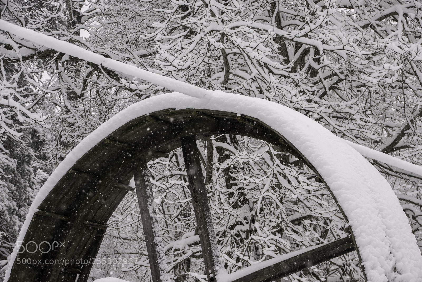 Nikon D5300 sample photo. Winter o photography