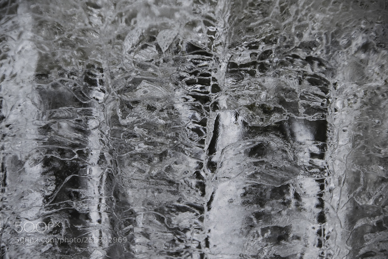 Nikon D5300 sample photo. Winter o photography