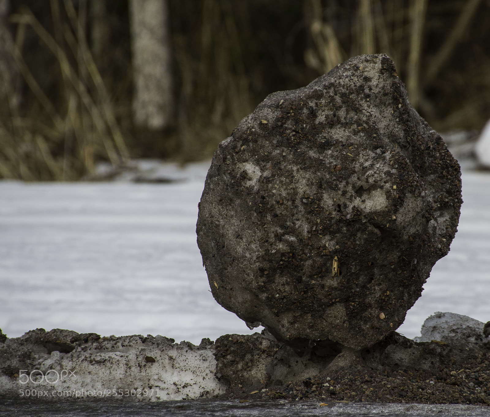Nikon D5300 sample photo. Winter o photography