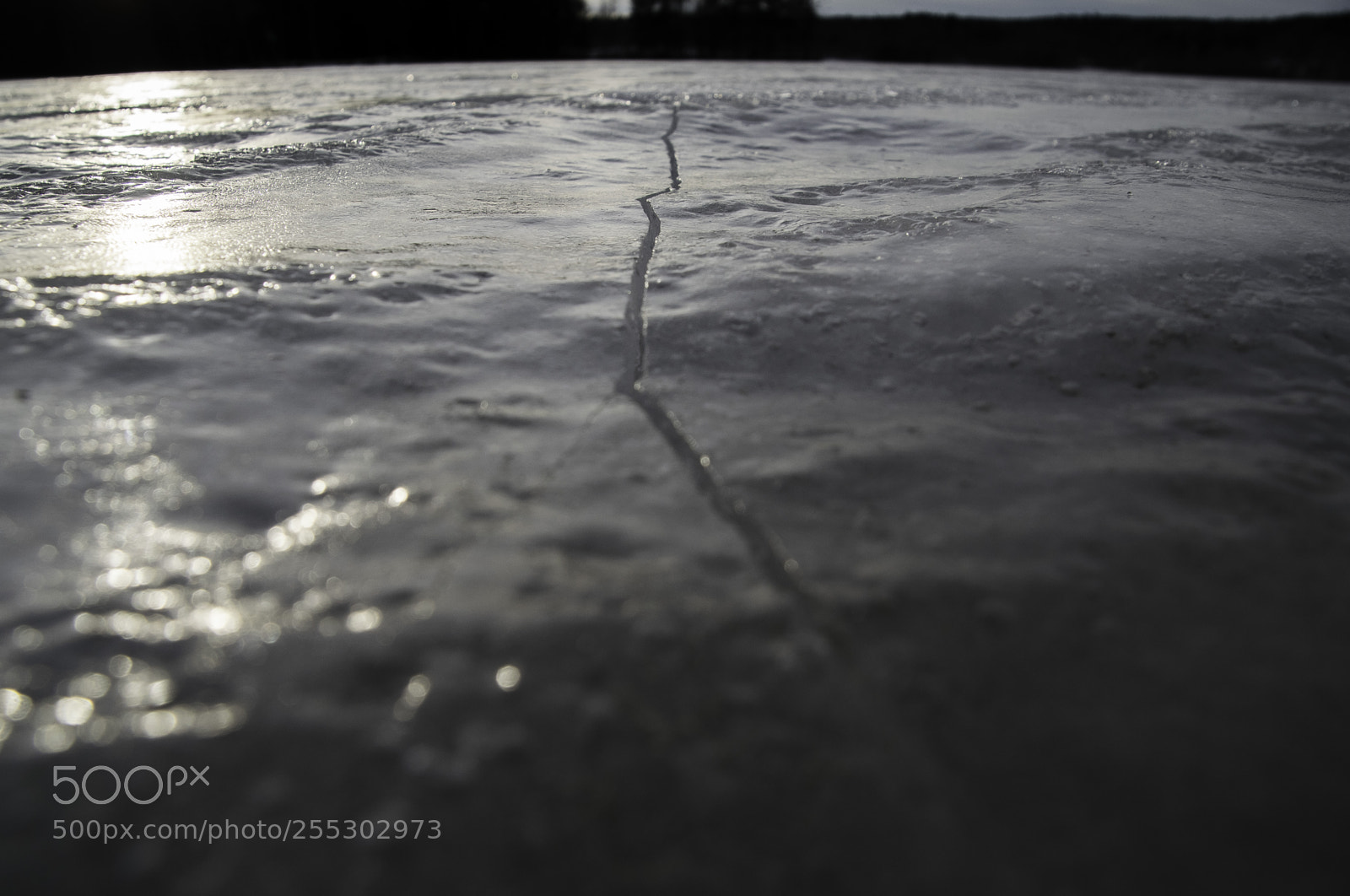 Nikon D5300 sample photo. Winter o photography