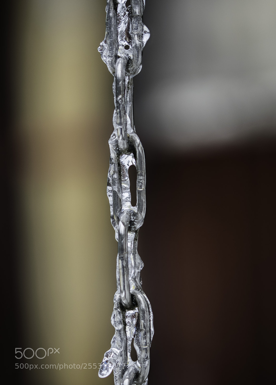 Nikon D5300 sample photo. Winter o photography