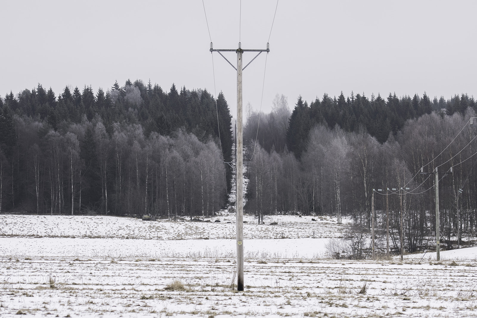 Nikon D5300 sample photo. Winter o photography