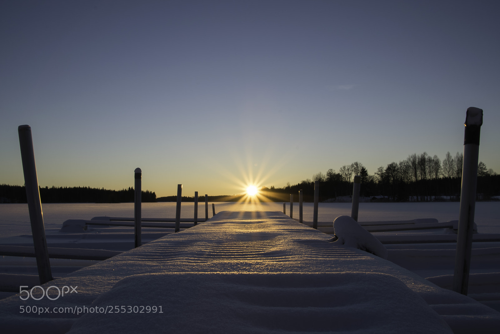 Nikon D5300 sample photo. Winter o photography