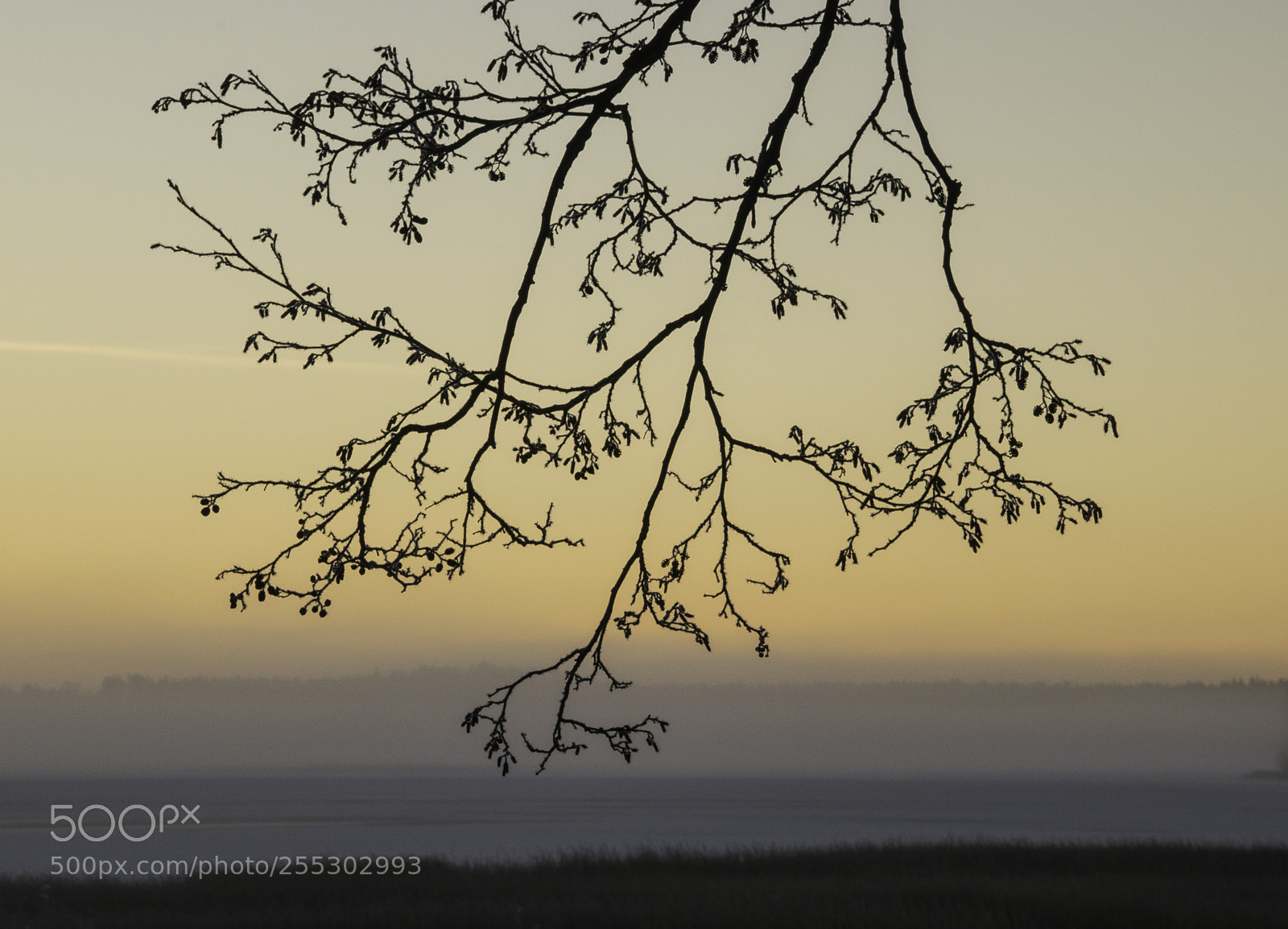 Nikon D5300 sample photo. Winter o photography