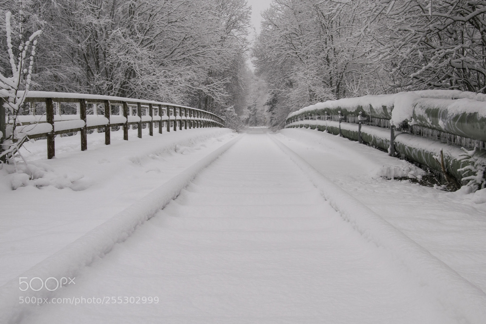 Nikon D5300 sample photo. Winter o photography