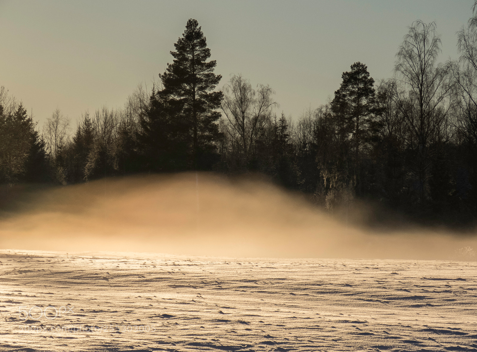 Canon PowerShot SX60 HS sample photo. Winter o photography