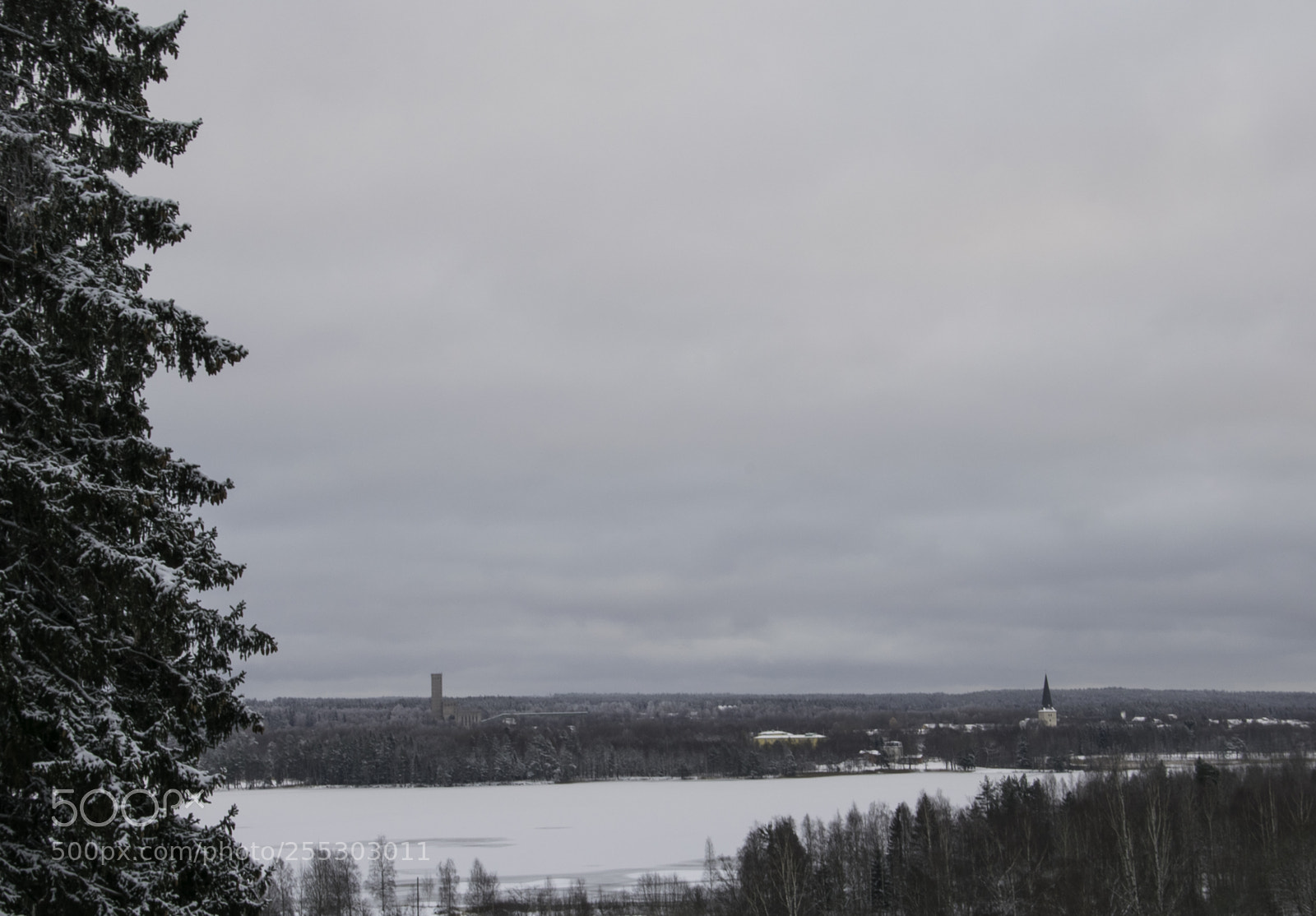 Nikon D5300 sample photo. Winter o photography