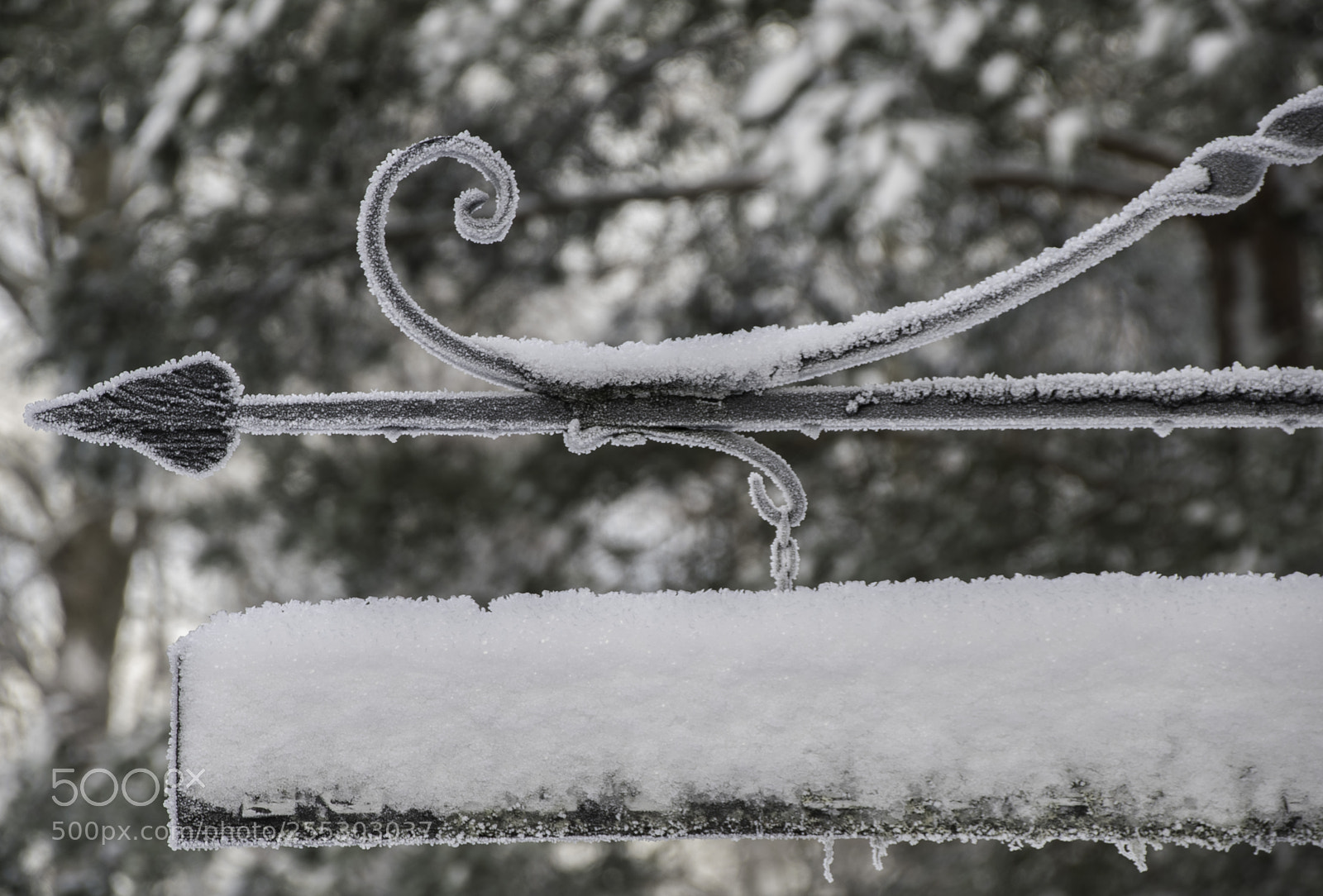 Nikon D5300 sample photo. Winter o photography