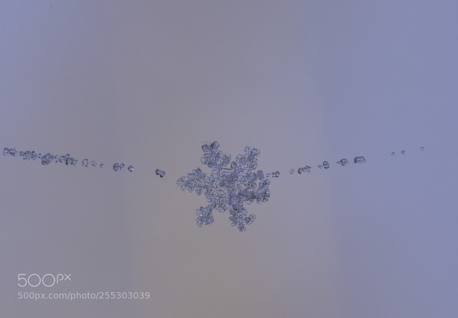 Nikon D5300 sample photo. Winter o photography