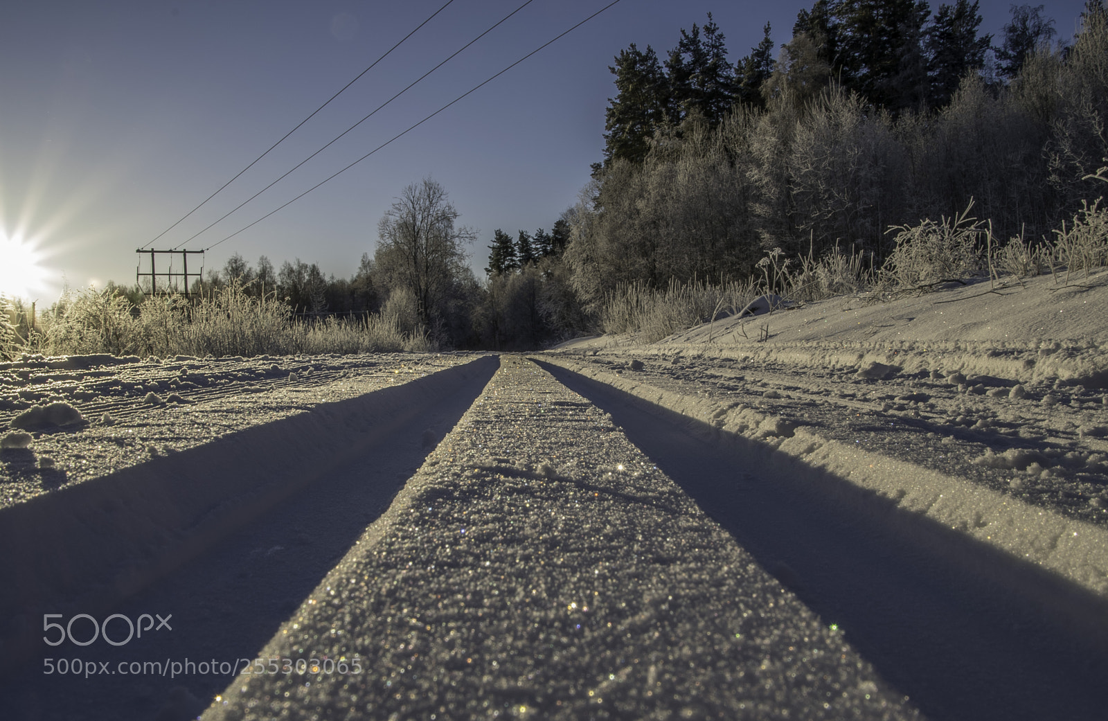 Nikon D5300 sample photo. Winter o photography