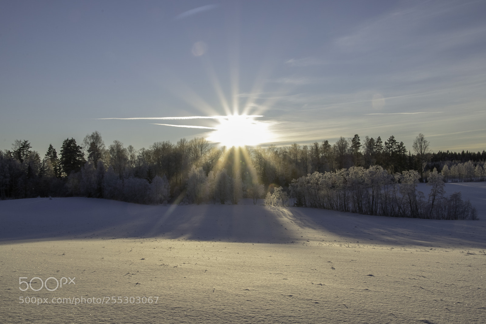 Nikon D5300 sample photo. Winter o photography