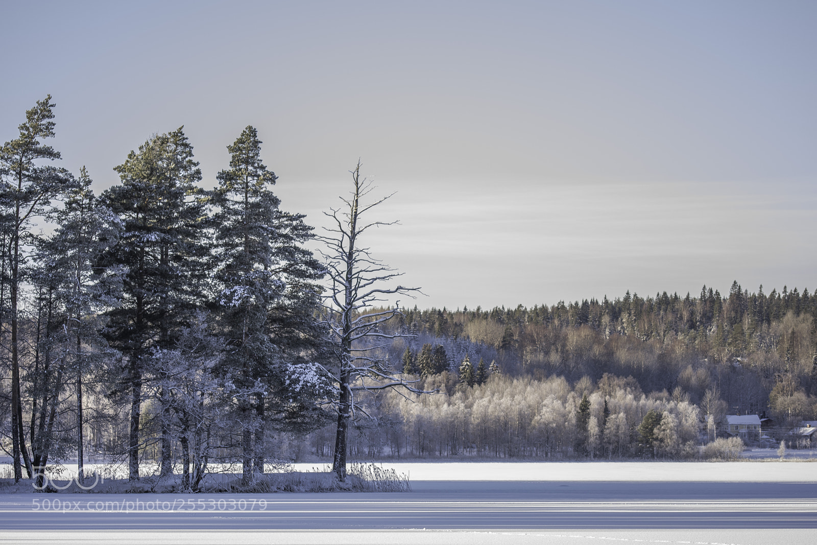 Nikon D5300 sample photo. Winter o photography