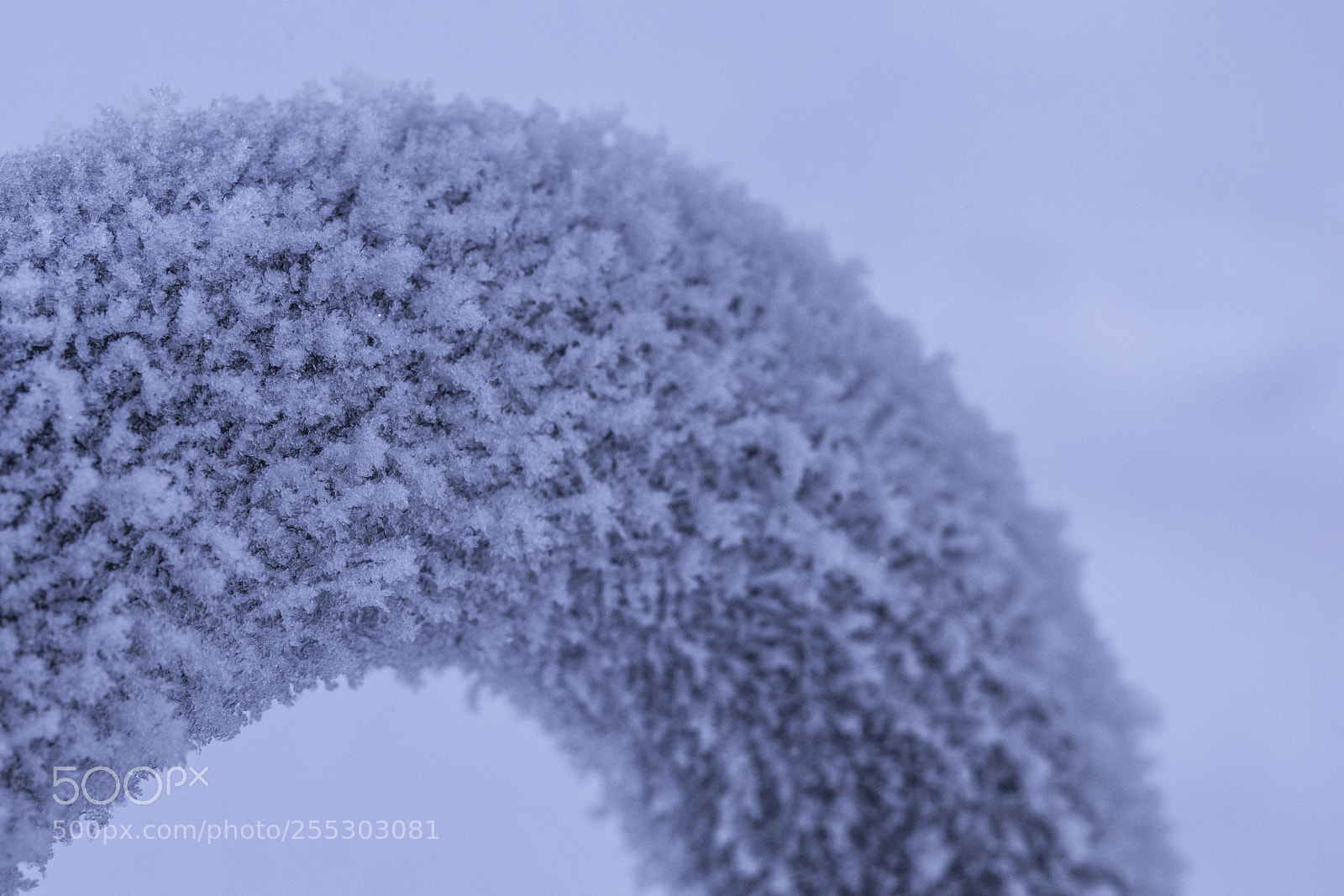 Nikon D5300 sample photo. Winter o photography
