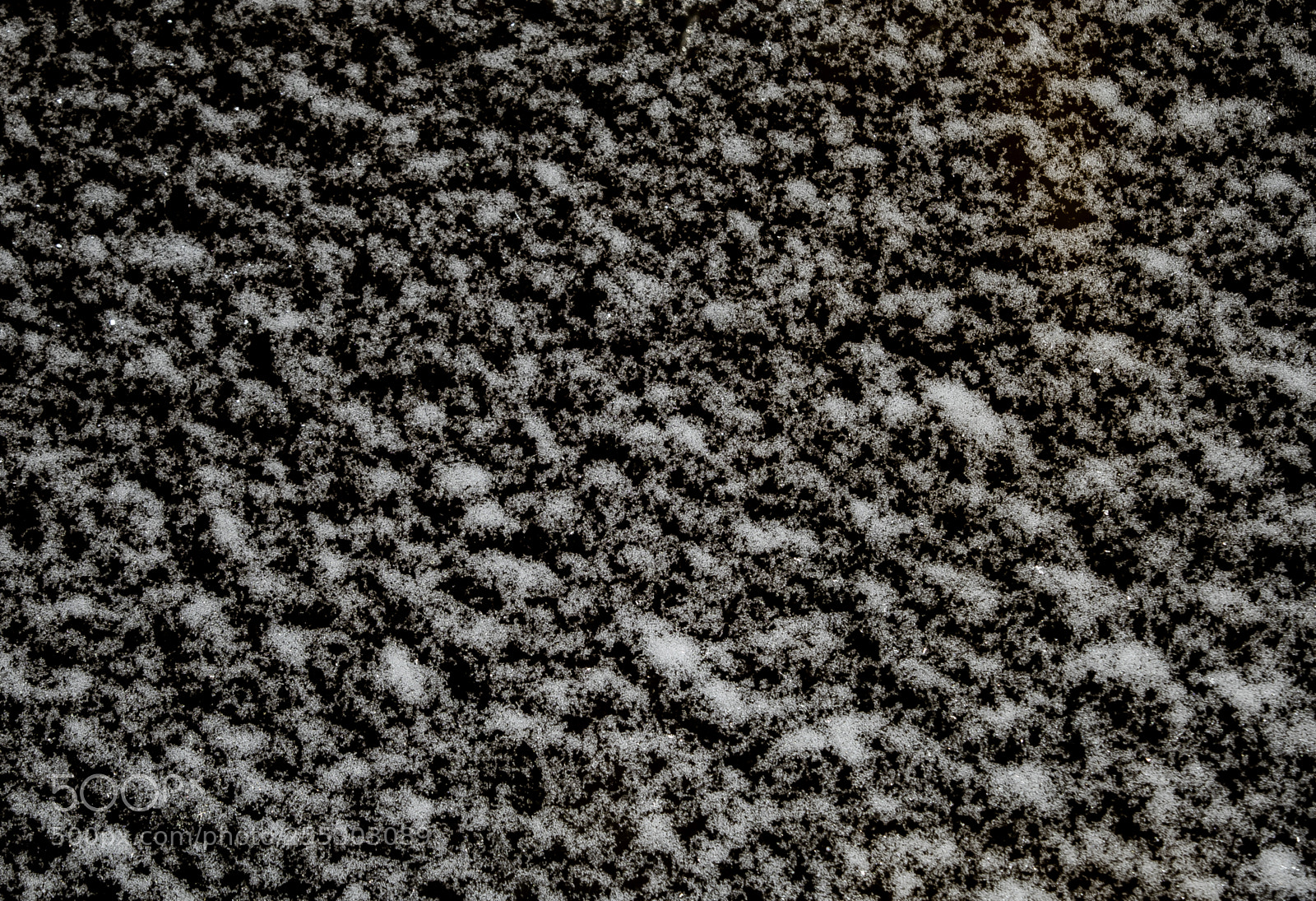 Nikon D5300 sample photo. Winter o photography