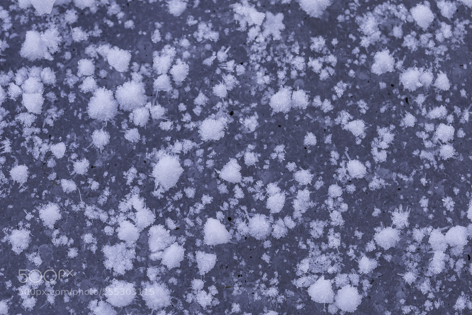Nikon D5300 sample photo. Winter o photography