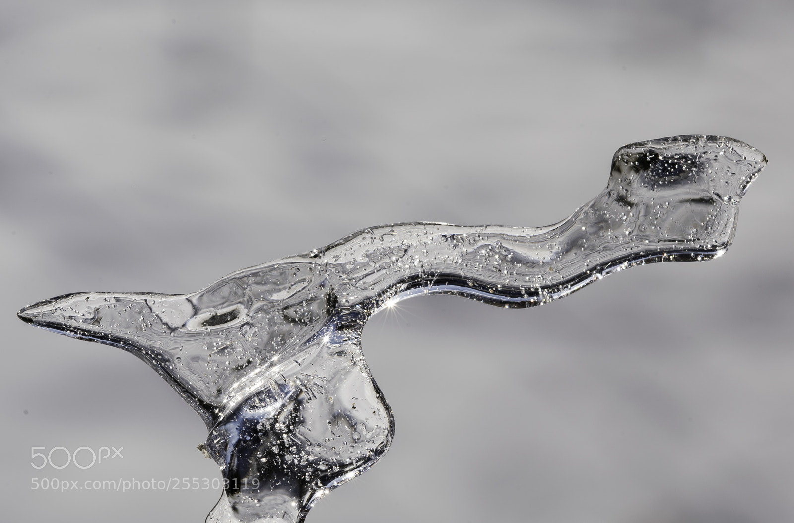 Nikon D5300 sample photo. Winter o photography