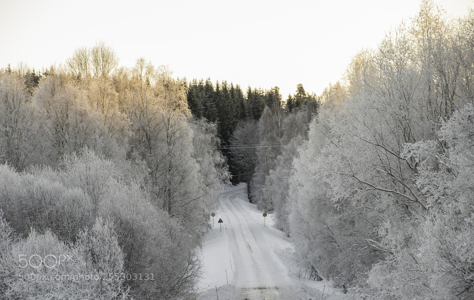 Nikon D5300 sample photo. Winter o photography