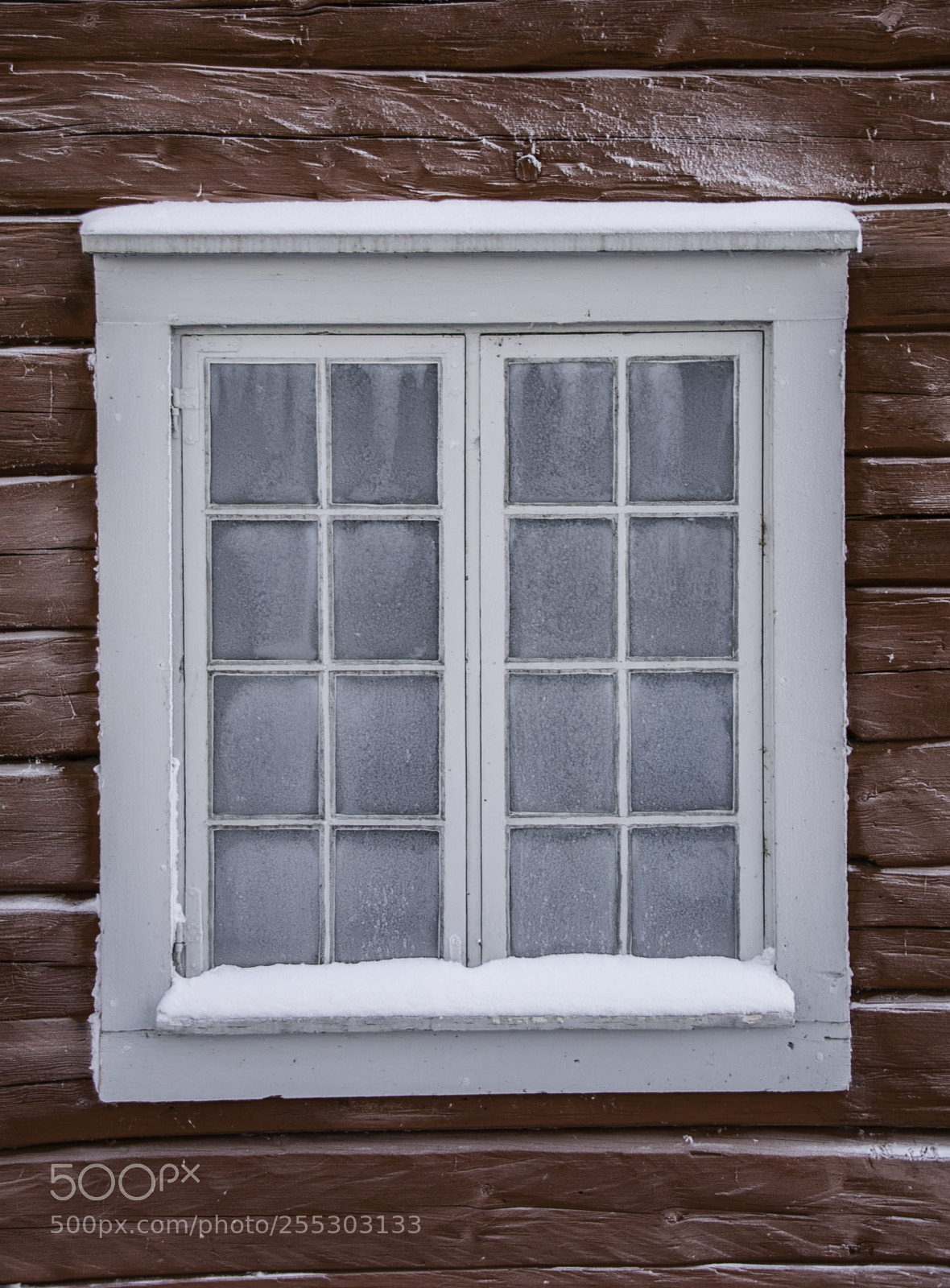Nikon D5300 sample photo. Winter o photography
