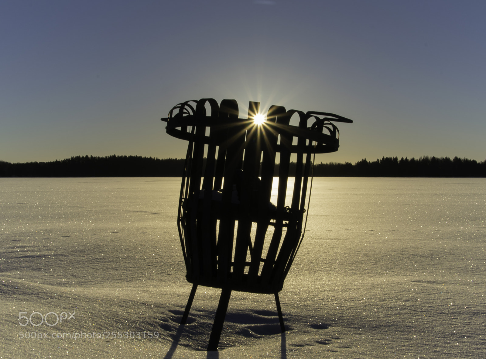Nikon D5300 sample photo. Winter o photography