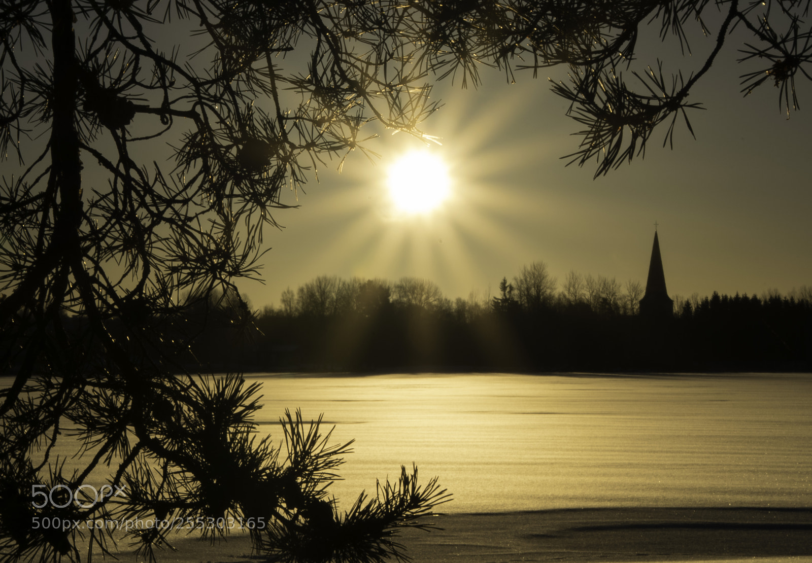 Nikon D5300 sample photo. Winter o photography