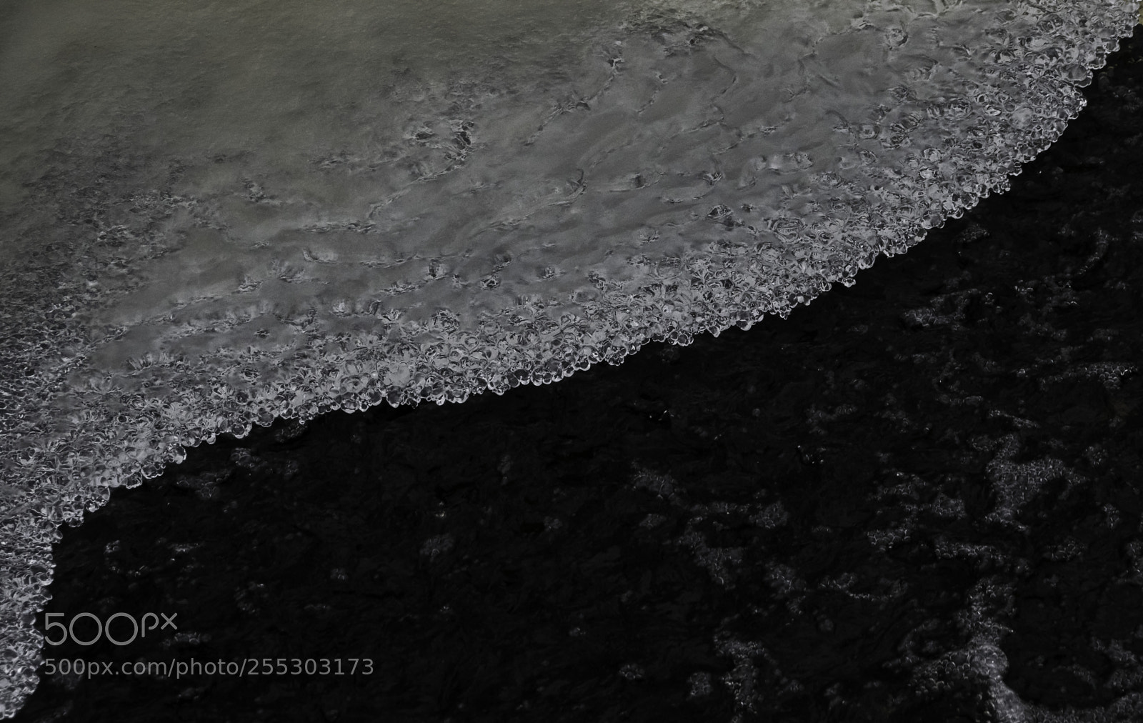 Nikon D5300 sample photo. Winter o photography