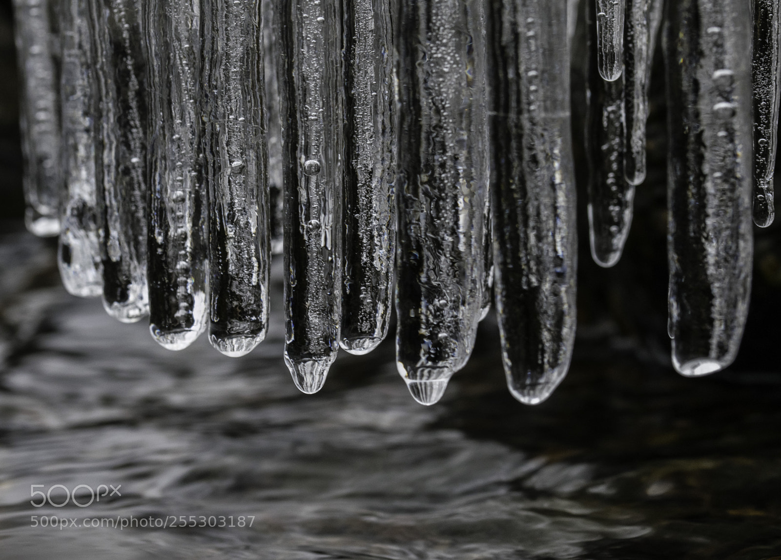 Nikon D5300 sample photo. Winter o photography