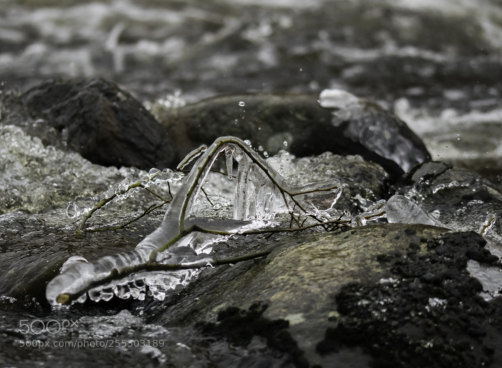 Nikon D5300 sample photo. Winter o photography