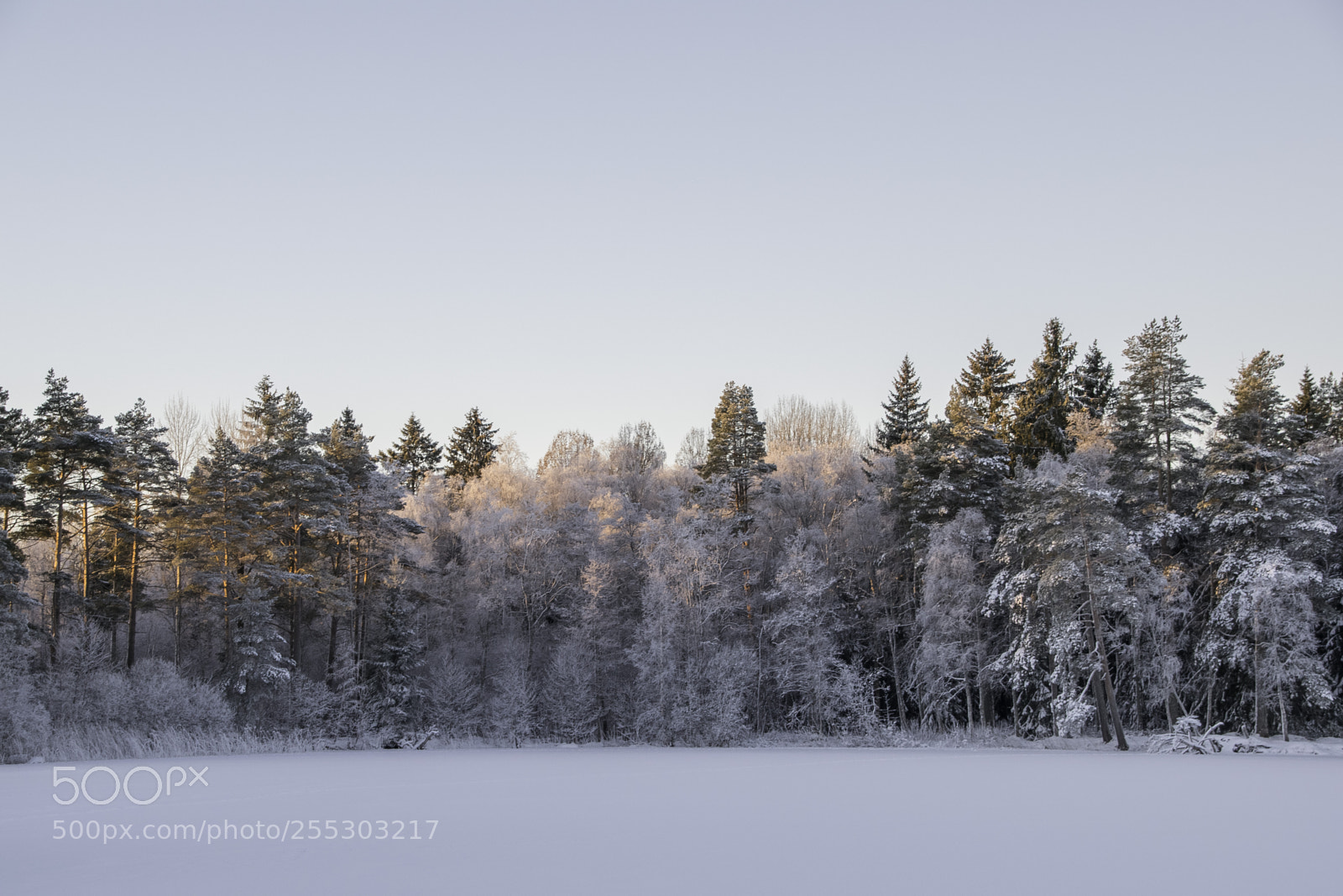 Nikon D5300 sample photo. Winter o photography