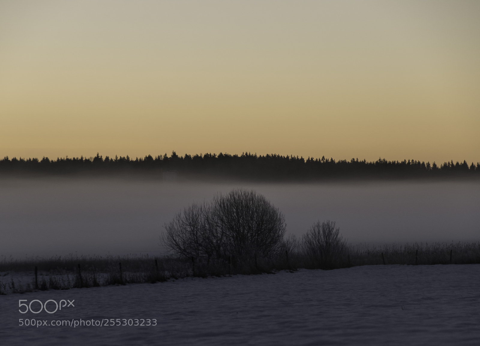 Nikon D5300 sample photo. Winter o photography